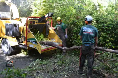 tree services Avenal